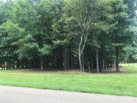 2438 Salute Boulevard Unit 45, Mint Hill, NC 28227, MLS # 4195330 - Photo #8