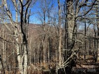 962 Lookout Drive, Mars Hill, NC 28754, MLS # 4195390 - Photo #4