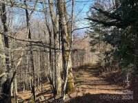 962 Lookout Drive, Mars Hill, NC 28754, MLS # 4195390 - Photo #6