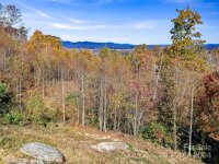 288 Millbrae Loop # 1632, Hendersonville, NC 28791, MLS # 4195432 - Photo #3