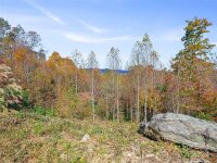 288 Millbrae Loop # 1632, Hendersonville, NC 28791, MLS # 4195432 - Photo #7