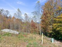 288 Millbrae Loop # 1632, Hendersonville, NC 28791, MLS # 4195432 - Photo #11