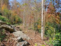 288 Millbrae Loop # 1632, Hendersonville, NC 28791, MLS # 4195432 - Photo #12