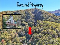 440 Spirit Mountain Trail, Waynesville, NC 28786, MLS # 4195449 - Photo #1