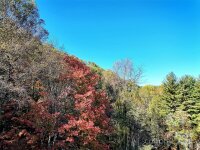 440 Spirit Mountain Trail, Waynesville, NC 28786, MLS # 4195449 - Photo #42