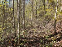 Woodfin Road, Sylva, NC 28779, MLS # 4196001 - Photo #1