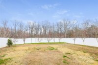 4725 Manchineel Lane, Monroe, NC 28110, MLS # 4196118 - Photo #16