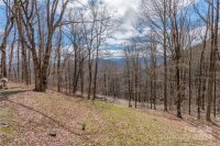 282 Vireo Lane, Waynesville, NC 28785, MLS # 4196753 - Photo #5