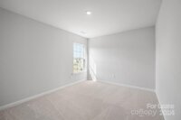 19011 Direwolf Cove, Charlotte, NC 28278, MLS # 4198314 - Photo #28