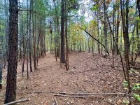 Swing Dairy Road, Lexington, NC 27295, MLS # 4198493 - Photo #34