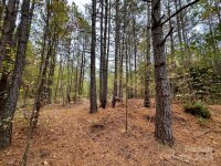 Swing Dairy Road, Lexington, NC 27295, MLS # 4198493 - Photo #35