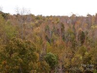 Swing Dairy Road, Lexington, NC 27295, MLS # 4198493 - Photo #10