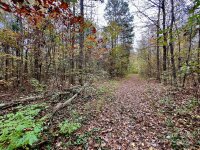 Swing Dairy Road, Lexington, NC 27295, MLS # 4198493 - Photo #16