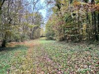 Swing Dairy Road, Lexington, NC 27295, MLS # 4198493 - Photo #20