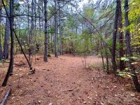 Swing Dairy Road, Lexington, NC 27295, MLS # 4198493 - Photo #25