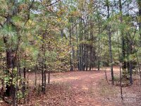 Swing Dairy Road, Lexington, NC 27295, MLS # 4198493 - Photo #26