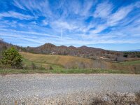 435 N N Turkey Creek Road, Leicester, NC 28748, MLS # 4199119 - Photo #4