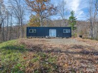 435 N N Turkey Creek Road, Leicester, NC 28748, MLS # 4199119 - Photo #13