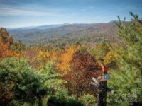 47 Ruffed Grouse Road, Brevard, NC 28712, MLS # 4199304 - Photo #8