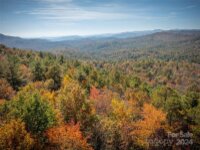 47 Ruffed Grouse Road, Brevard, NC 28712, MLS # 4199304 - Photo #9