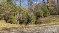 Wilkerson Way, Marion, NC 28752, MLS # 4199522 - Photo #28