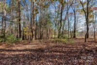 1225 Round Hill Church Road, Traphill, NC 28685, MLS # 4199651 - Photo #33