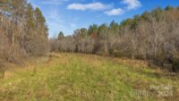 1225 Round Hill Church Road, Traphill, NC 28685, MLS # 4199651 - Photo #10