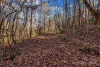 1225 Round Hill Church Road, Traphill, NC 28685, MLS # 4199651 - Photo #24