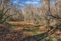 1225 Round Hill Church Road, Traphill, NC 28685, MLS # 4199651 - Photo #26