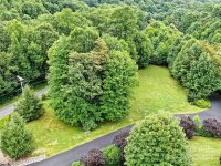 Tizwood Drive # 20 an, Waynesville, NC 28785, MLS # 4201575 - Photo #3