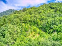 Cawood Lane, Clyde, NC 28721, MLS # 4202081 - Photo #4