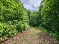 Cawood Lane, Clyde, NC 28721, MLS # 4202081 - Photo #6