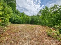 Cawood Lane, Clyde, NC 28721, MLS # 4202081 - Photo #7