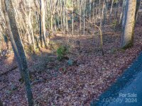 Rules Run Road, Clyde, NC 28721, MLS # 4202267 - Photo #7