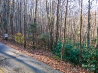 Rules Run Road, Clyde, NC 28721, MLS # 4202267 - Photo #8