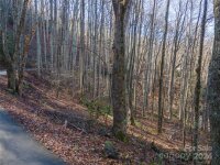 Rules Run Road, Clyde, NC 28721, MLS # 4202267 - Photo #10