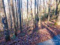 Rules Run Road, Clyde, NC 28721, MLS # 4202267 - Photo #11