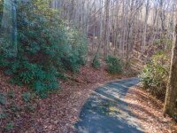 Rules Run Road, Clyde, NC 28721, MLS # 4202267 - Photo #13