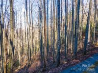 Rules Run Road, Clyde, NC 28721, MLS # 4202267 - Photo #16