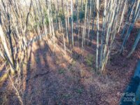 Rules Run Road, Clyde, NC 28721, MLS # 4202267 - Photo #17