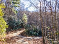 Rules Run Road, Clyde, NC 28721, MLS # 4202267 - Photo #19