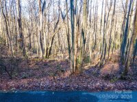 Rules Run Road, Clyde, NC 28721, MLS # 4202267 - Photo #23