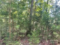 Pine Moss Lane, Clover, SC 29710, MLS # 4202367 - Photo #2