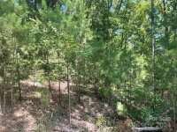 Pine Moss Lane, Clover, SC 29710, MLS # 4202367 - Photo #3