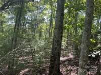 Pine Moss Lane, Clover, SC 29710, MLS # 4202367 - Photo #5