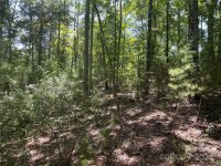 Pine Moss Lane, Clover, SC 29710, MLS # 4202367 - Photo #6