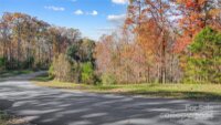 9525 Sweetleaf Place, Charlotte, NC 28278, MLS # 4202544 - Photo #11