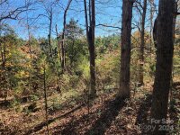 451 Low Bridge Road, Forest City, NC 28043, MLS # 4202782 - Photo #4