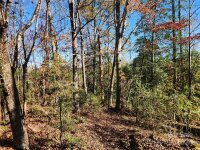 451 Low Bridge Road, Forest City, NC 28043, MLS # 4202782 - Photo #31