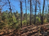 451 Low Bridge Road, Forest City, NC 28043, MLS # 4202782 - Photo #18